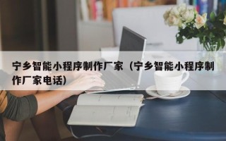 和县宁乡智能小程序制作厂家（宁乡智能小程序制作厂家电话）